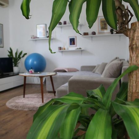 Cosy Apartment - 10 Minutes Walk To Sea Zadar Bagian luar foto