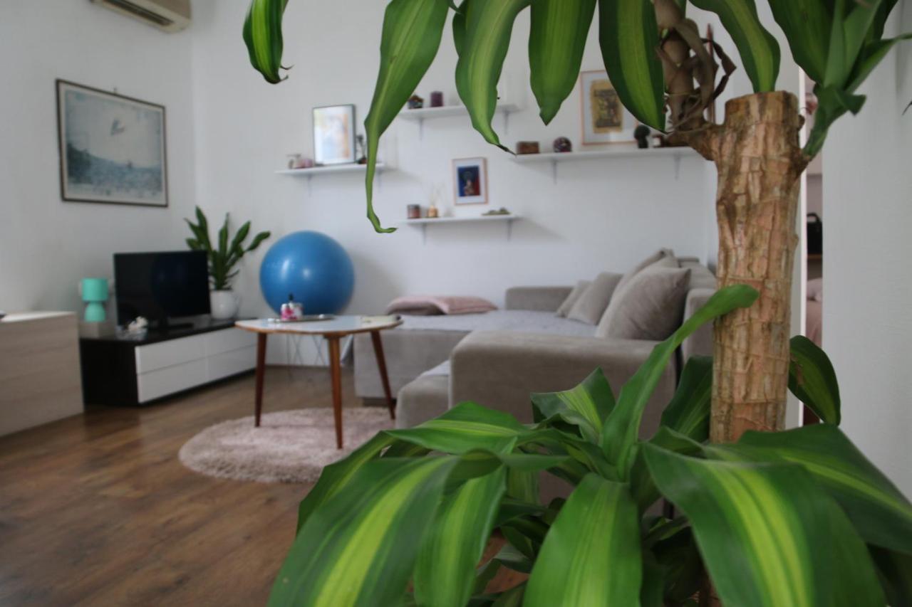 Cosy Apartment - 10 Minutes Walk To Sea Zadar Bagian luar foto
